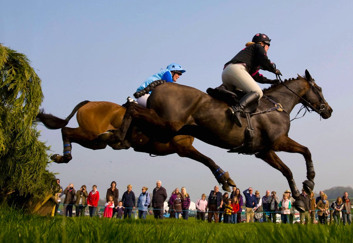 How trifecta betting can help you with your horse racing wagers